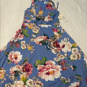 Eliza J Blue Floral Maxi Dress